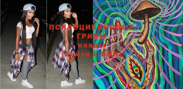 дживик Сафоново