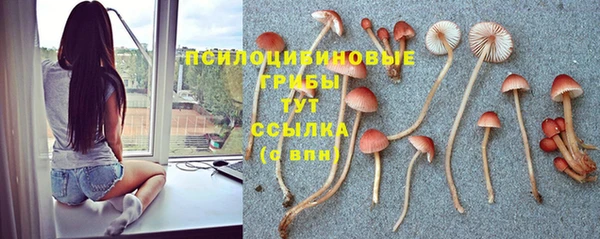 каннабис Балахна